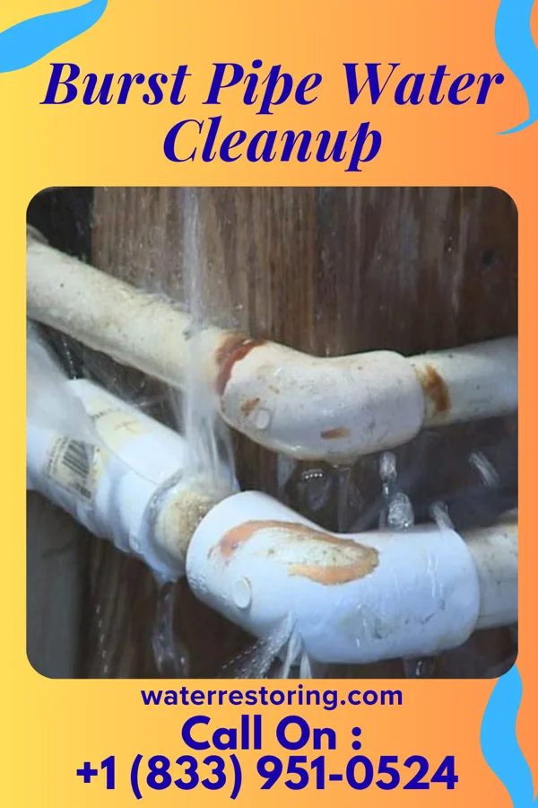 Burst Pipe Water Cleanup in Hollansburg, OH
