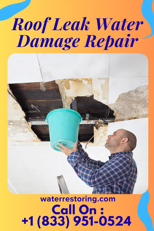 Roof Leak Water Damage Repair in Hollansburg, OH