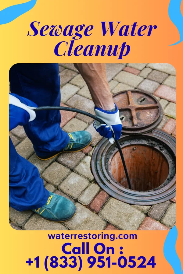 Sewage Water Cleanup in Hollansburg, OH