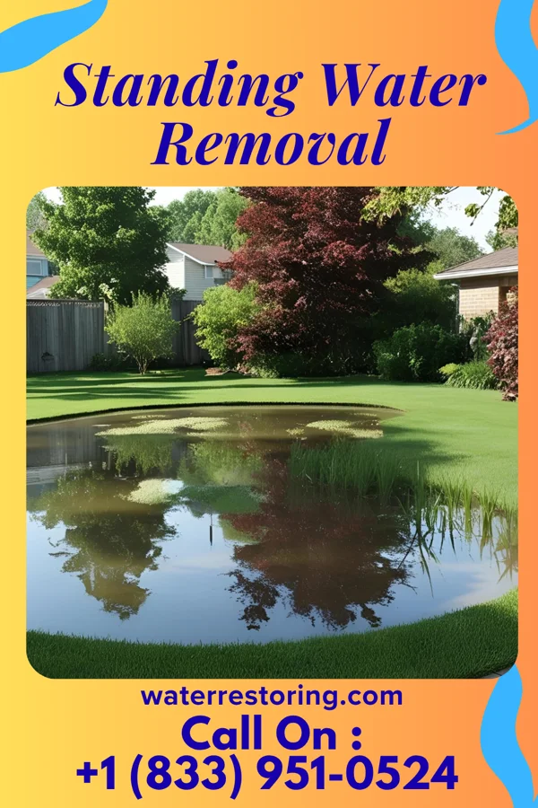 Standing Water Removal in Hollansburg, OH